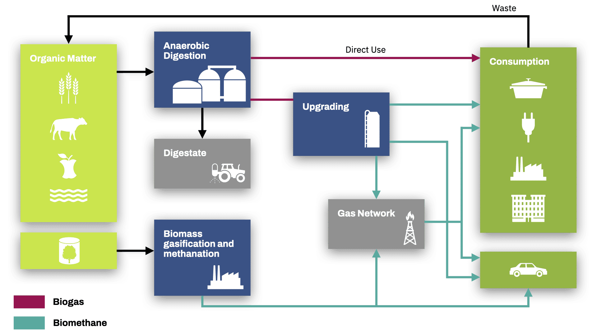 Biogas and biomethane flow chart of direct and indirect uses.